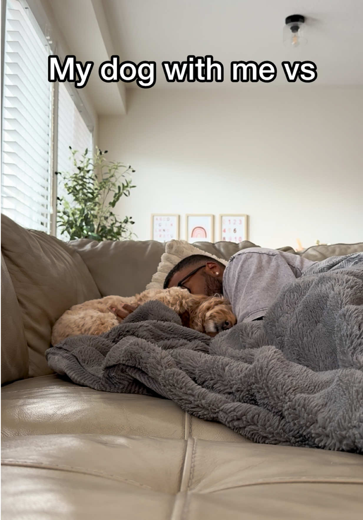 @LunaTheMiniCockapoo