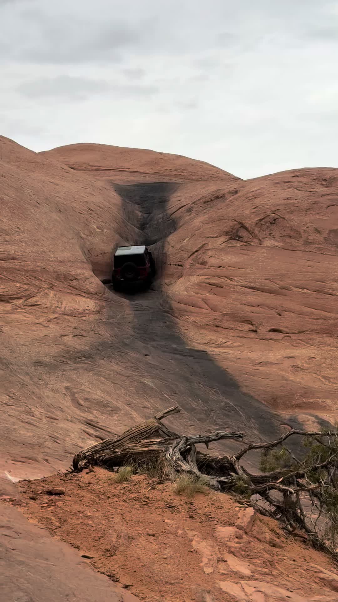 @crawlmoab