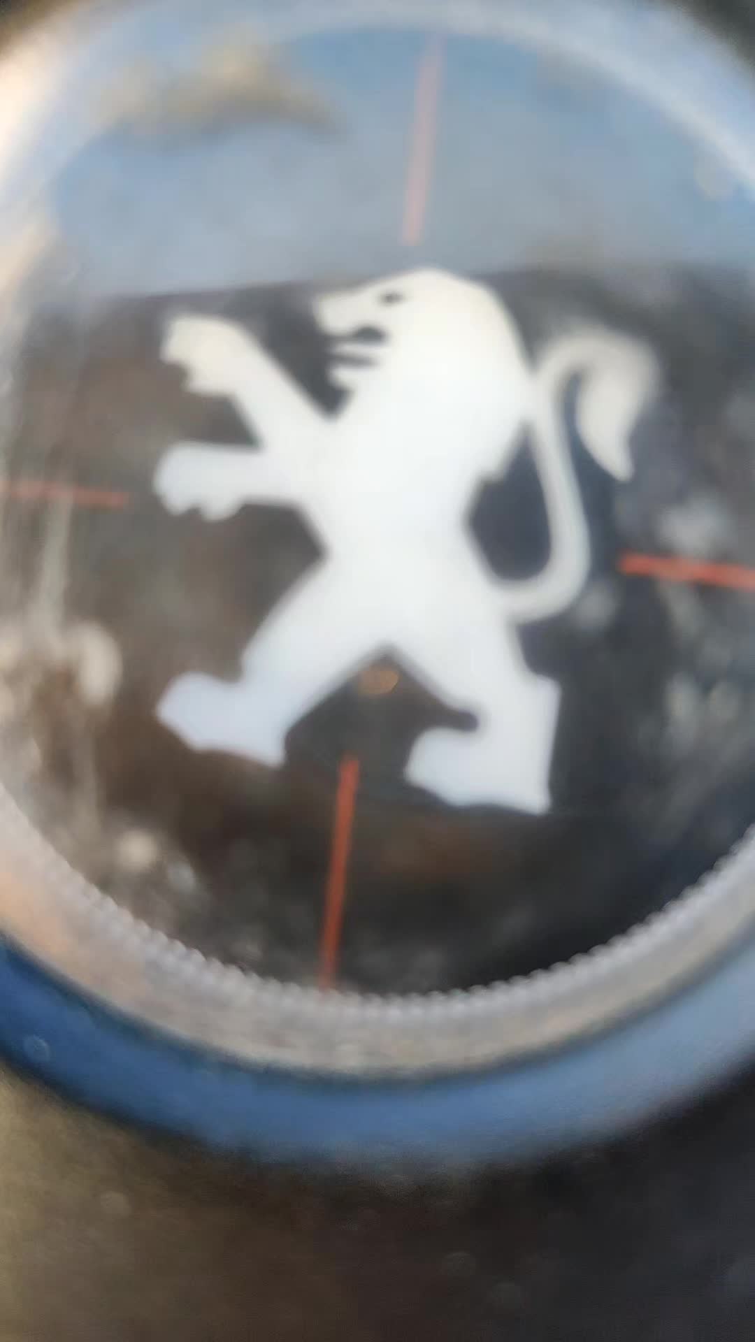 @Speedy 2