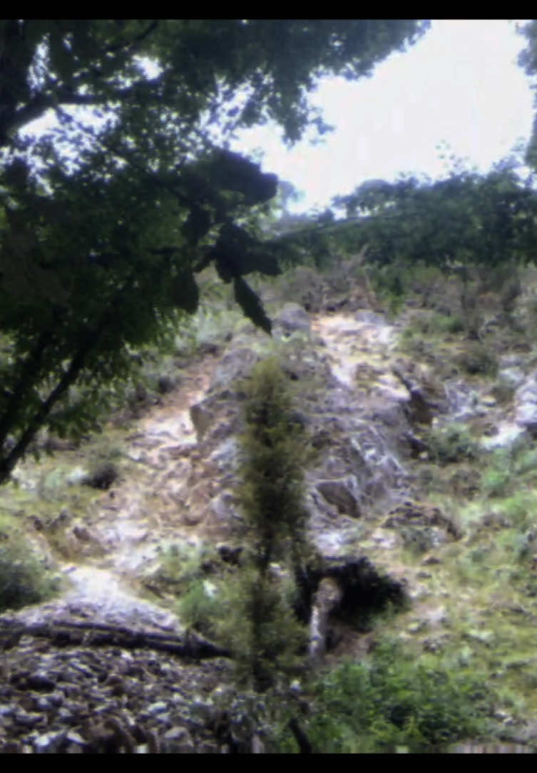@Wğxan ࿈