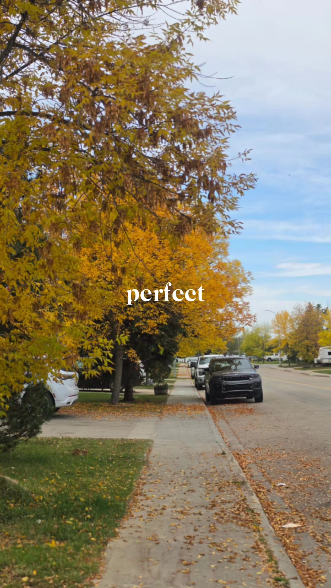 @Maricris in Alberta