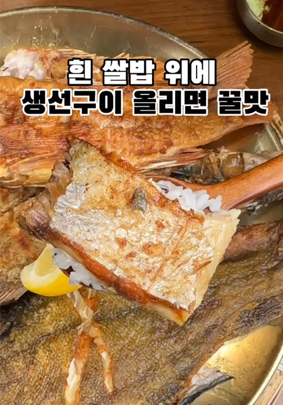 @jjongrrr