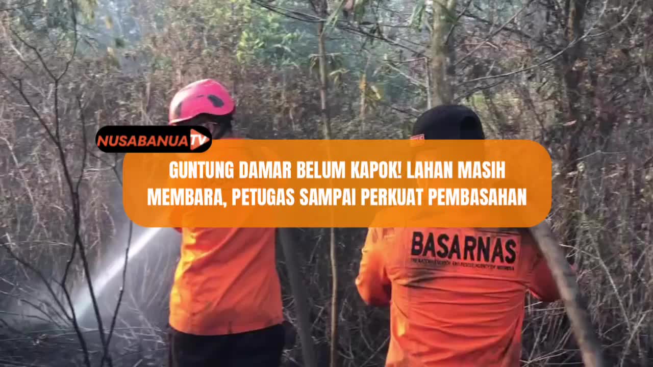 @Nusa Banua TV