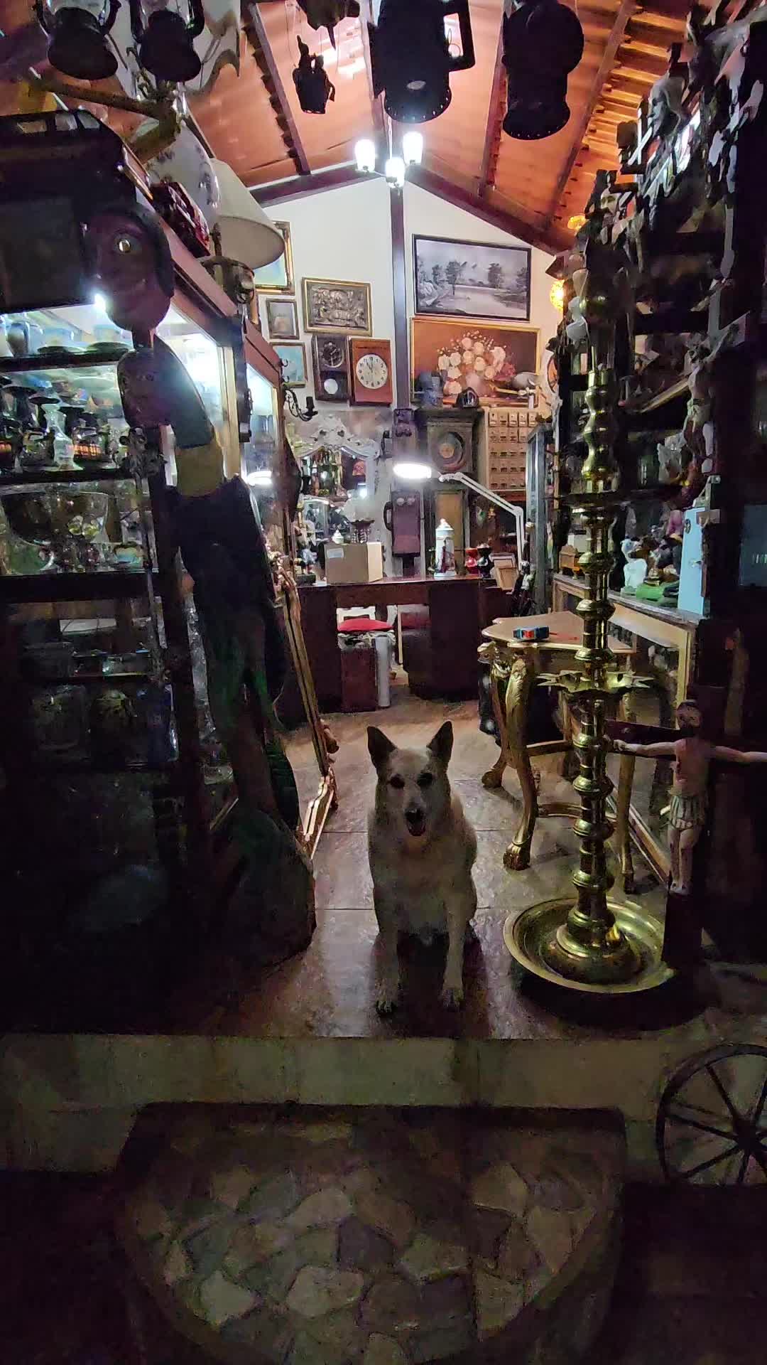 @ANTIGÜEDADES TAURO