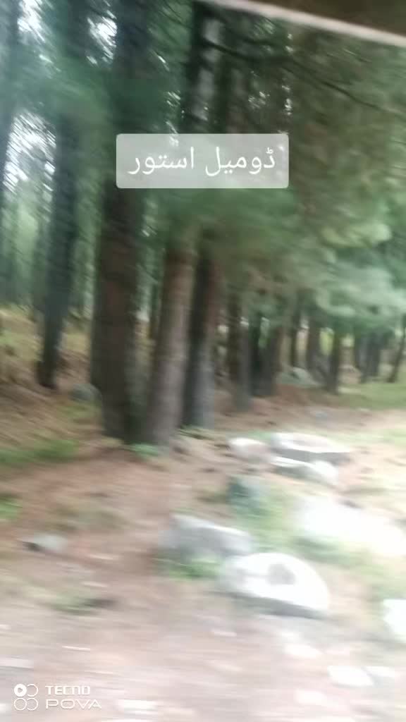 @moazam ali 4691