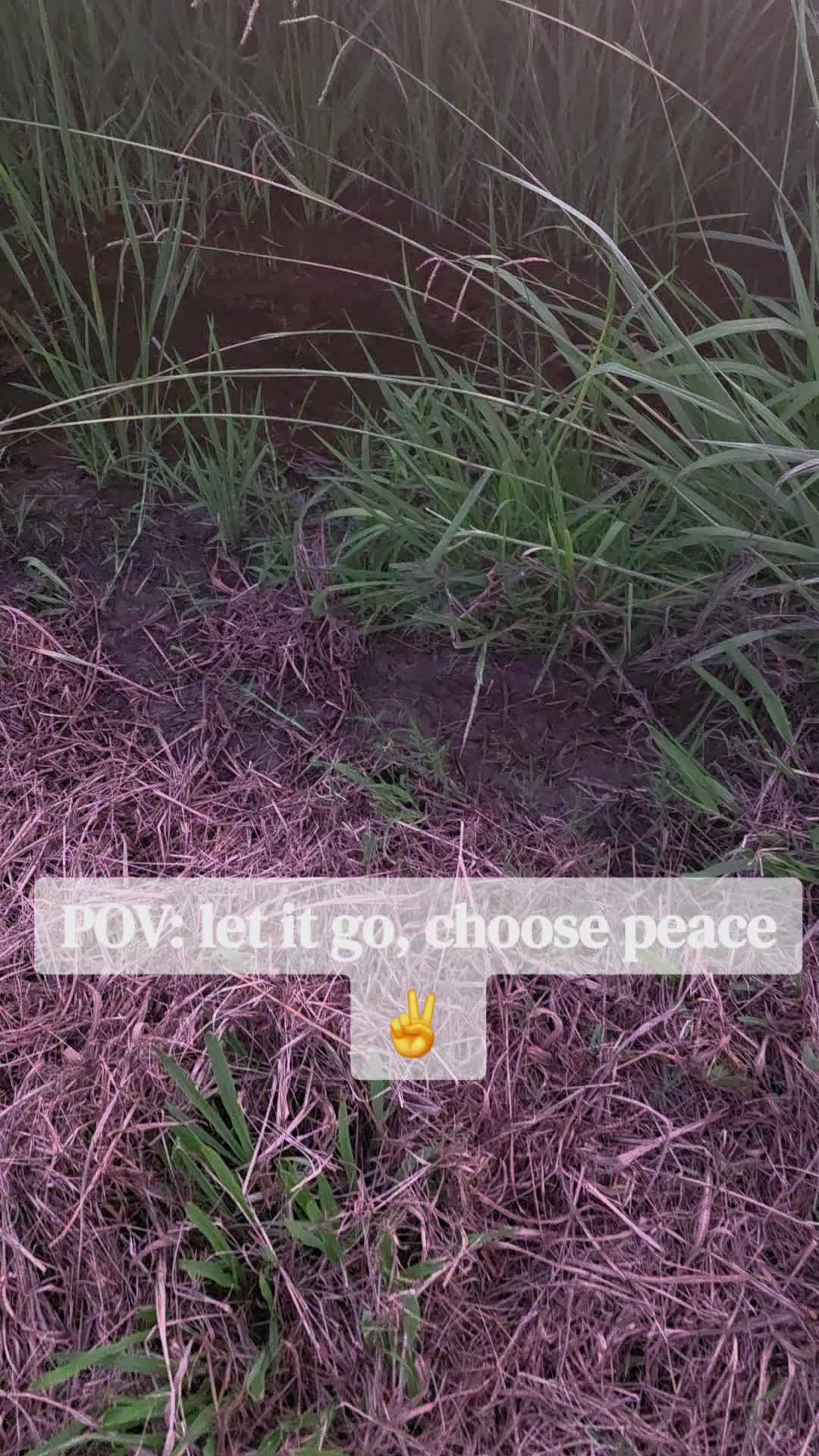 @TannaJeanne
