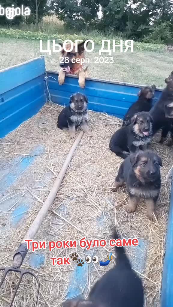 @Наташа Мазур.