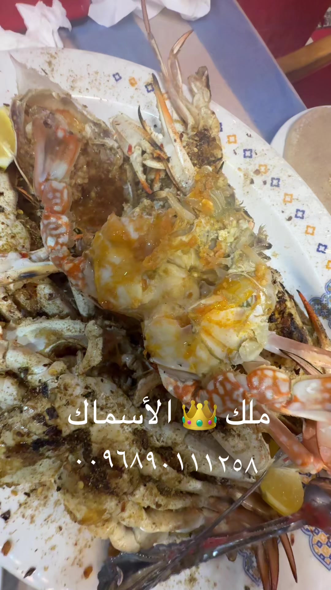 @KING FISH 🇴🇲 مـلـك الأســماك