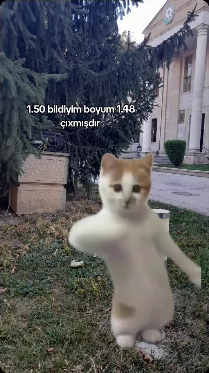 @𝓪🏹