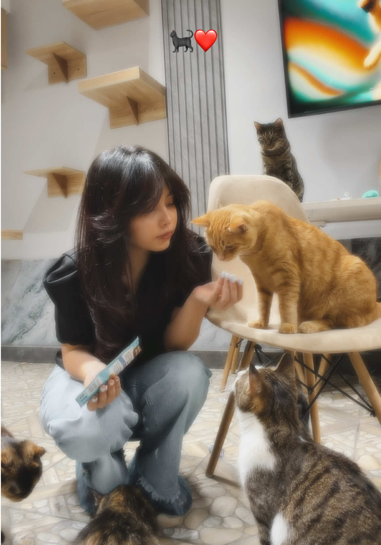 @๐๐๐ฒ๐ฑ๐จ๐ง๐ฟ๏ธ