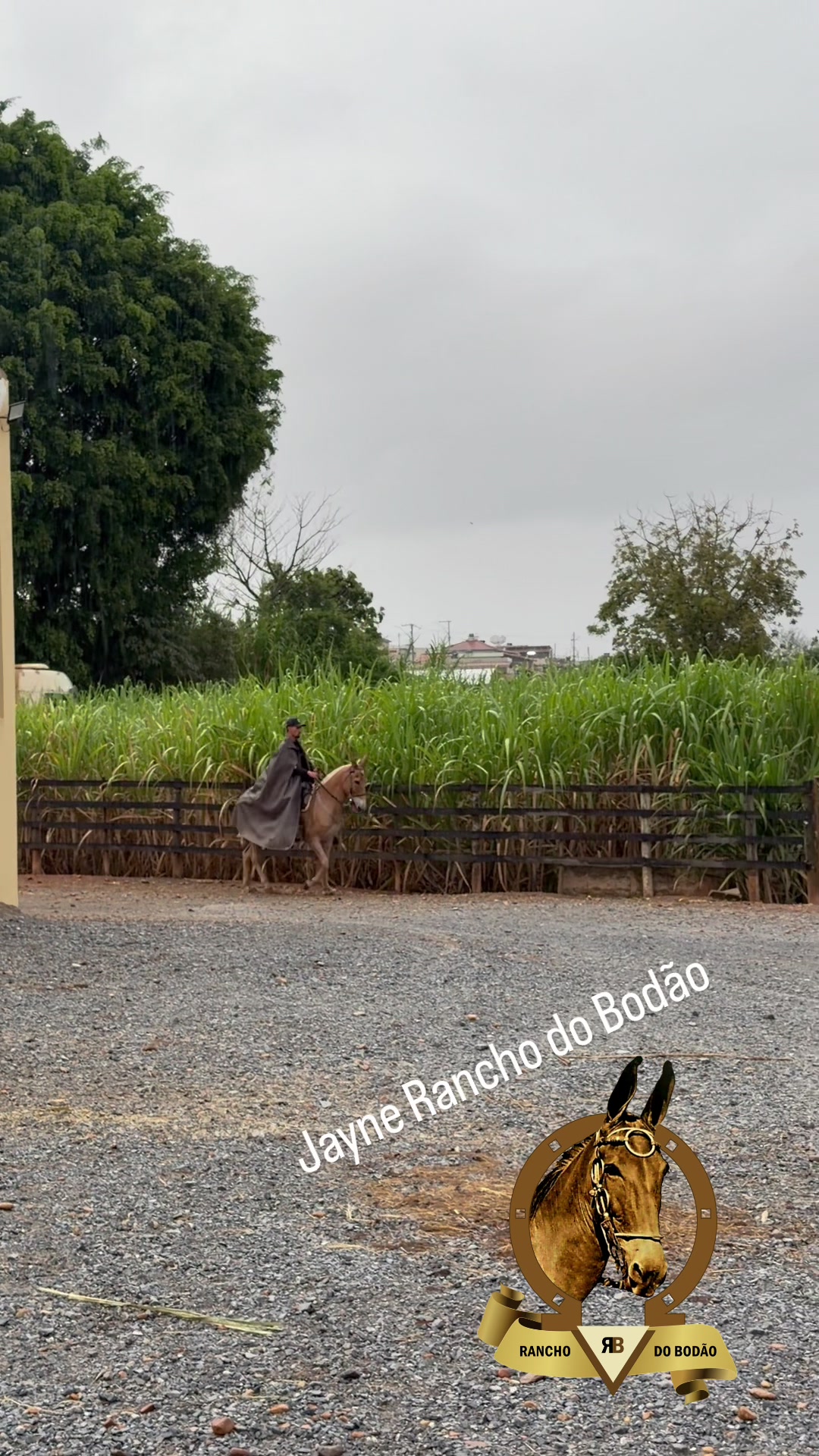 @Rancho do Bodão