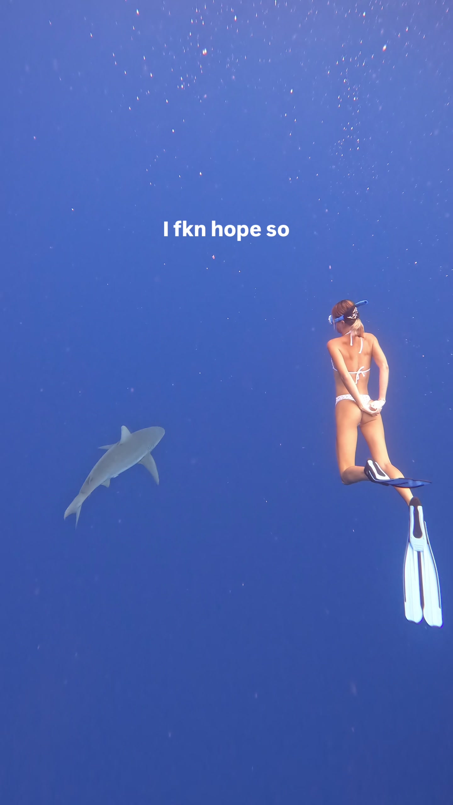 @brooke goodman🦈