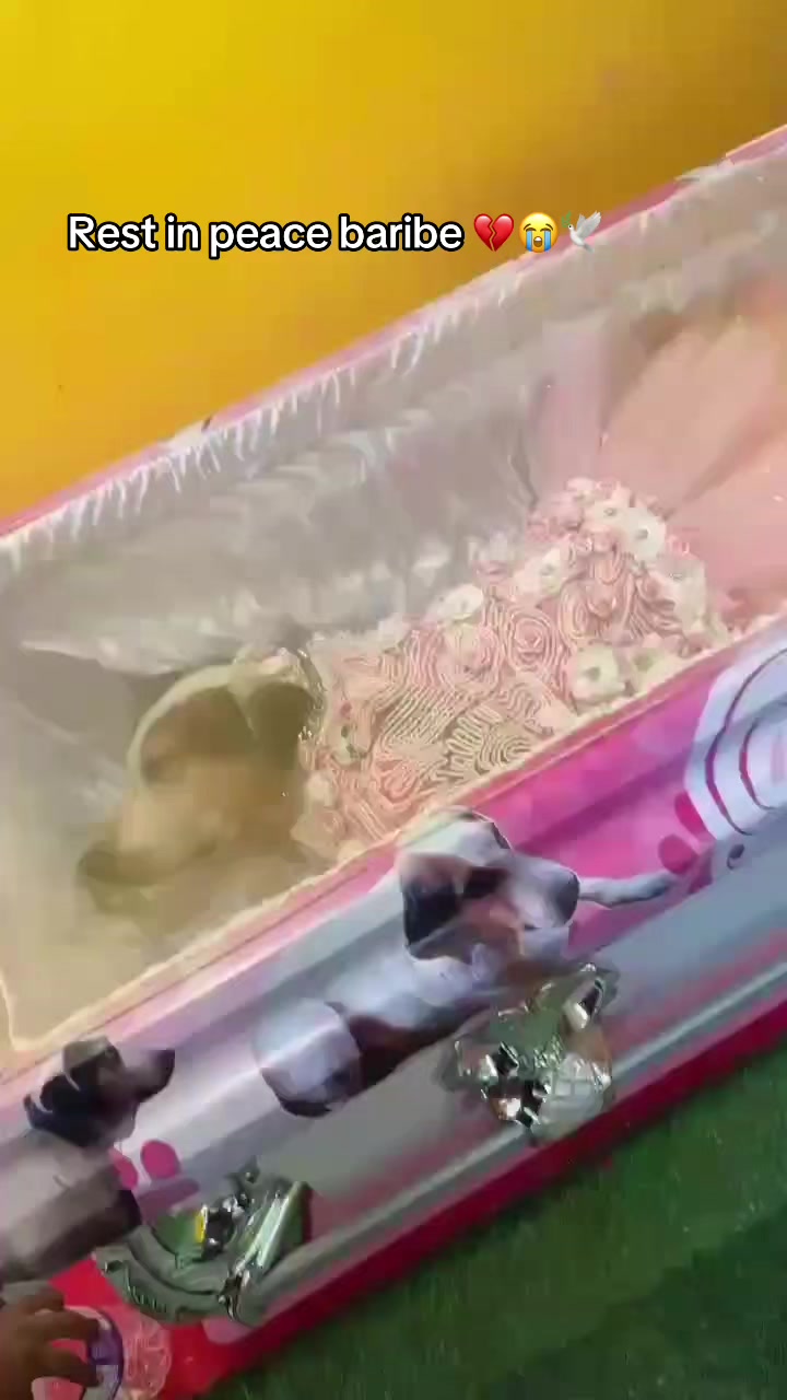 @kickazzโ๐โ๏ธ
