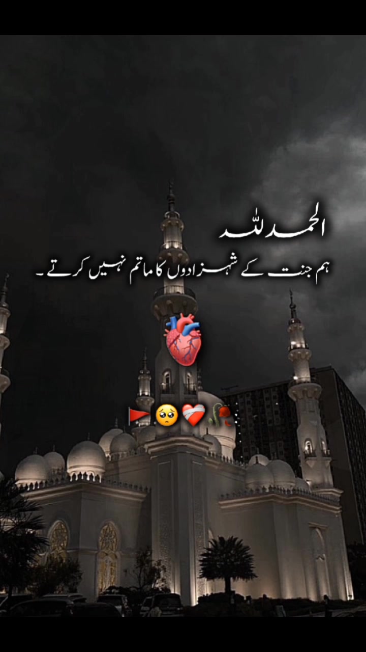 @𝘼𝙉𝘼𝙔𝘼 🥀🖤