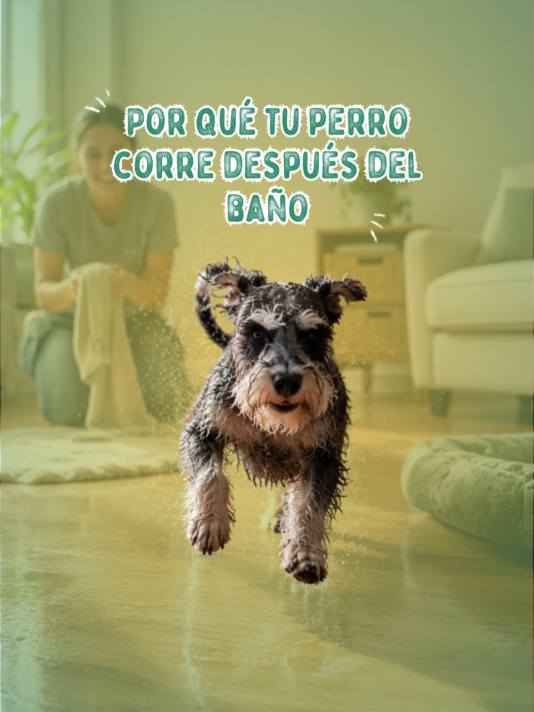 @Pancho Cavero