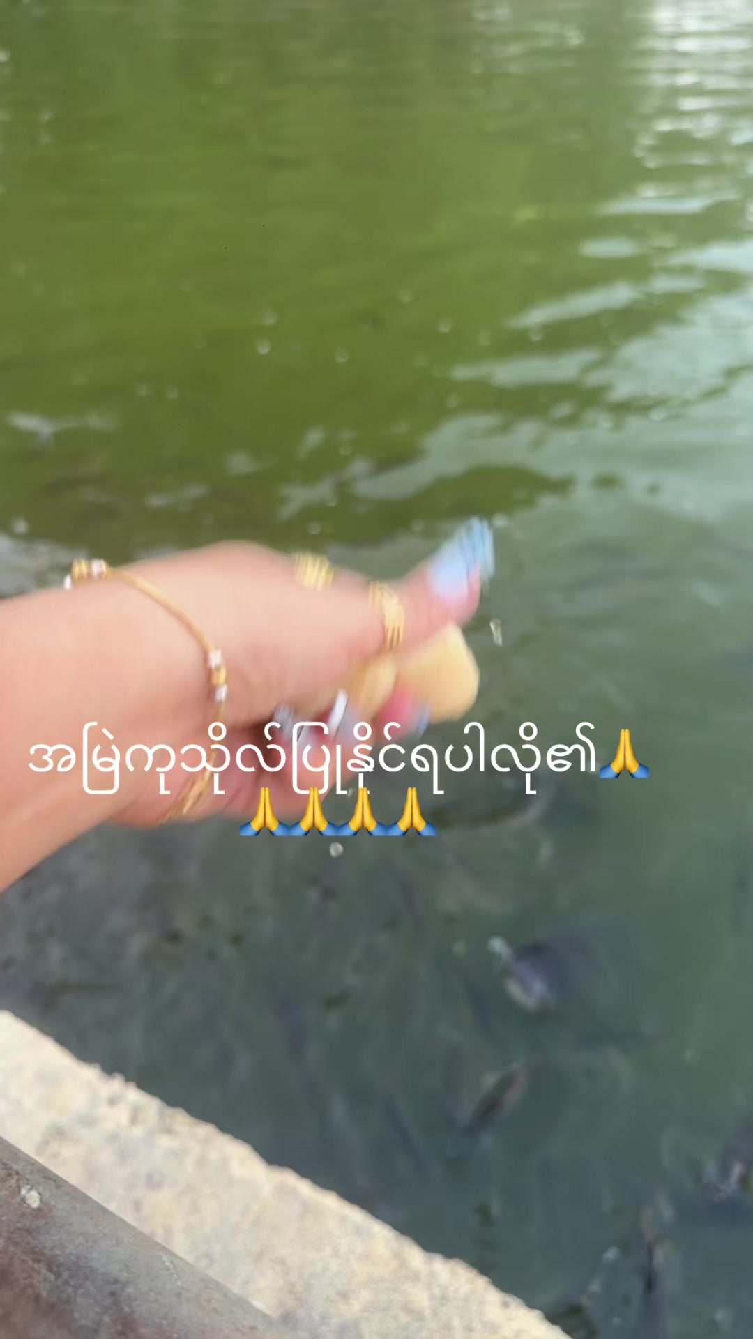 @Phyu Lay Hotdogs (Pyay)
