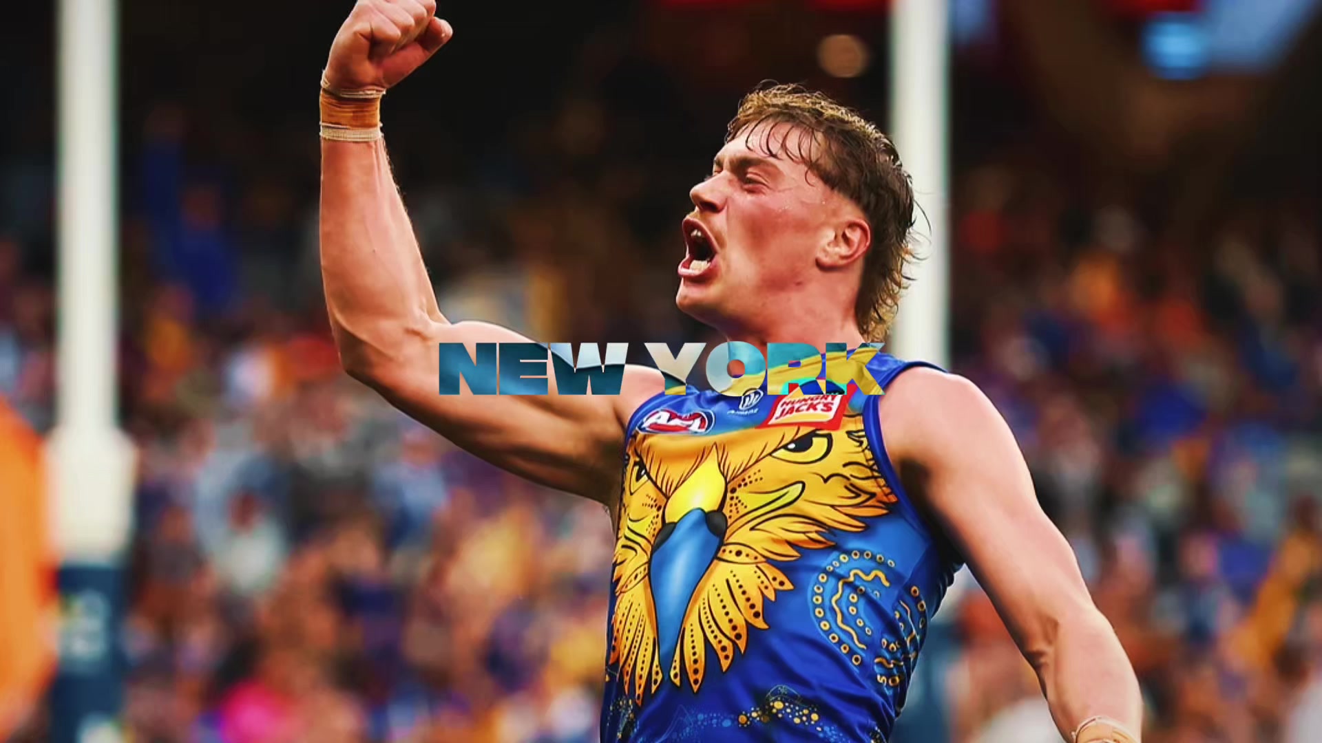 @Reid.szn.9💙💙💙🦅💛💛💛