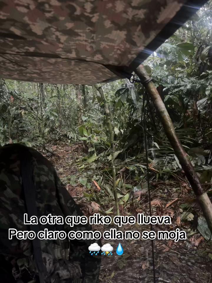 @ËËl militar ese21