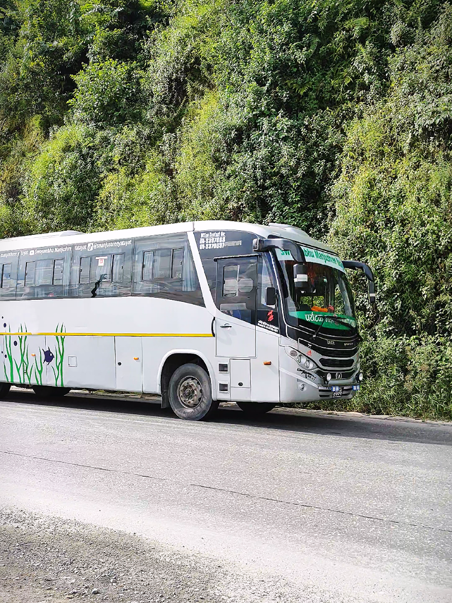 @BusVibe