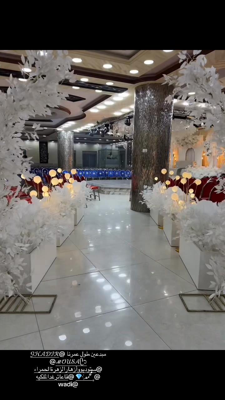 @wedding photographer