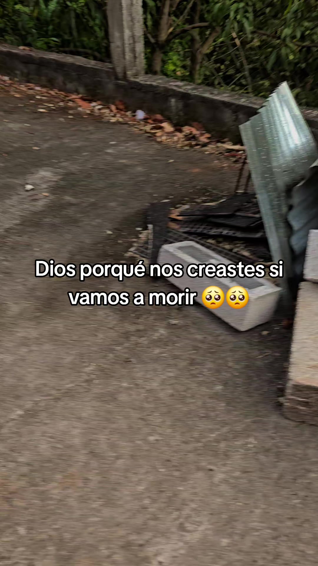 @🌸Nena🌸