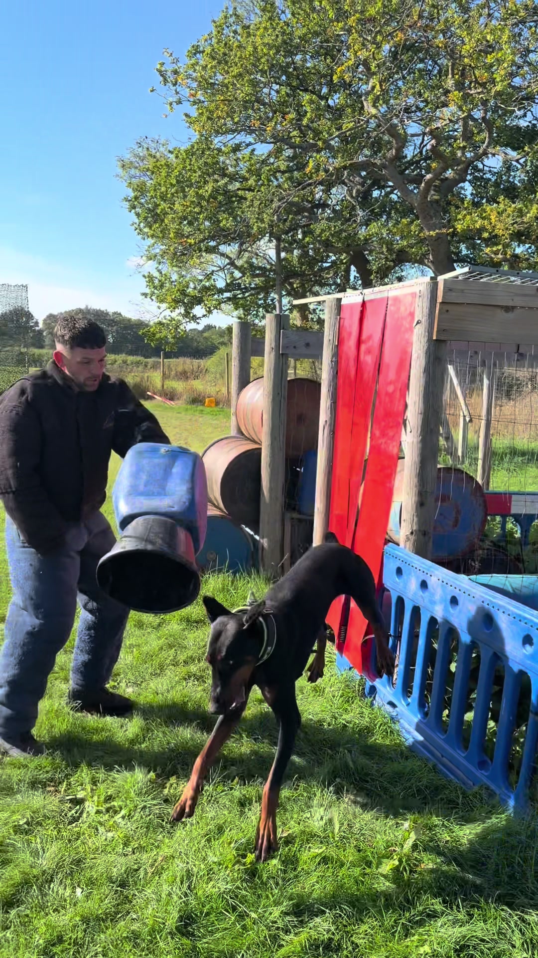 @protectiondobermanns
