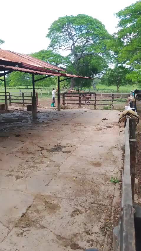@⚡