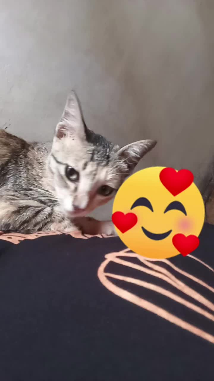 @👸Quëën Märch 🇲🇨