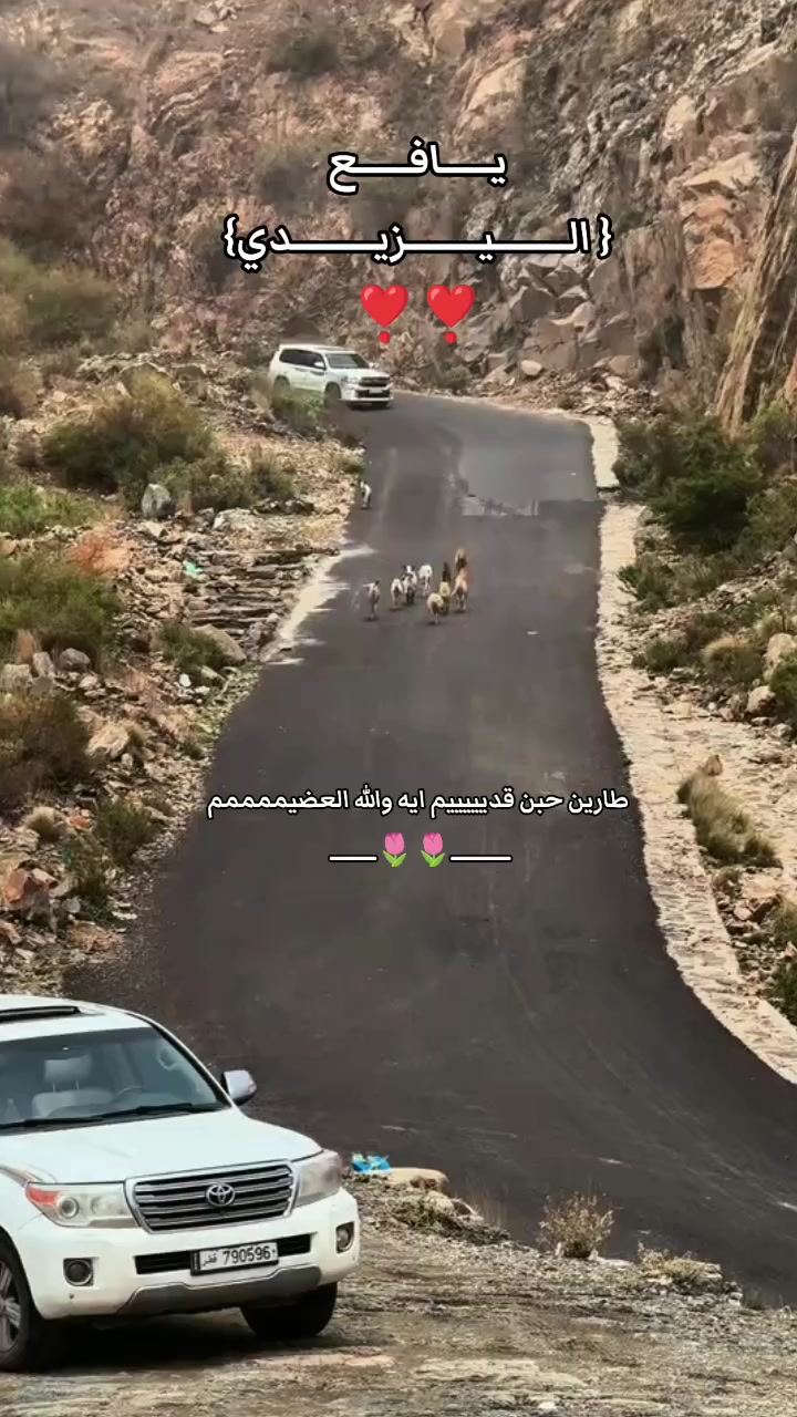 @الـ يـــــزيـــــدي🫡
