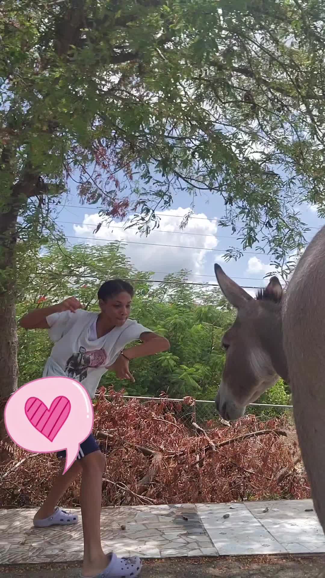 @lilly17
