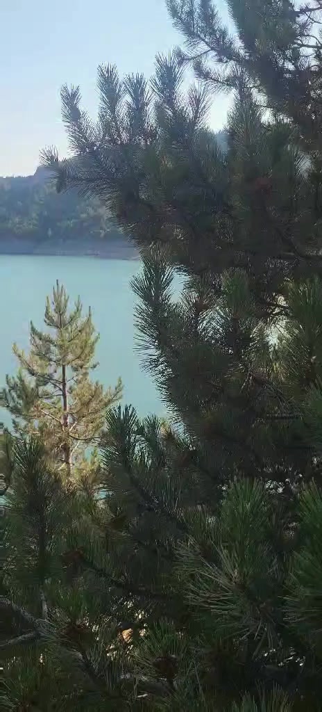 @Oko čamparasto 🌼