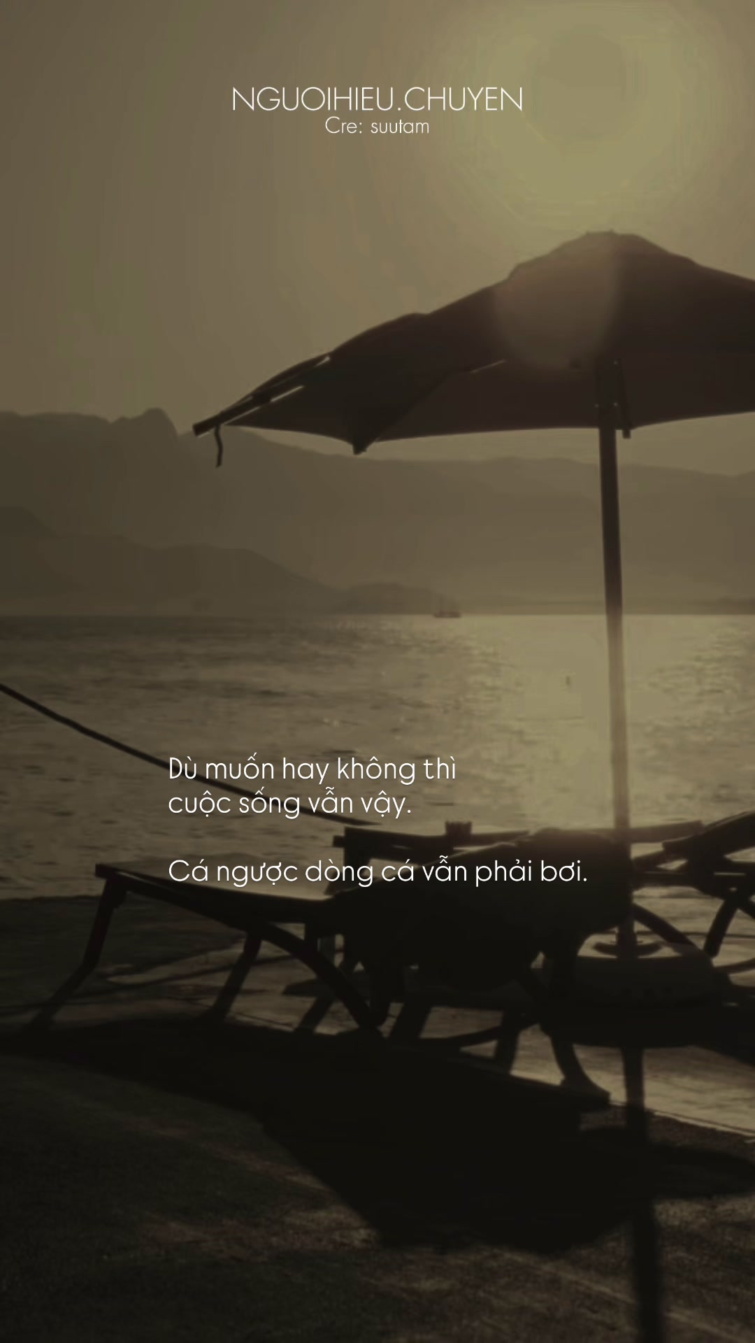 @Người Hiểu Chuyện