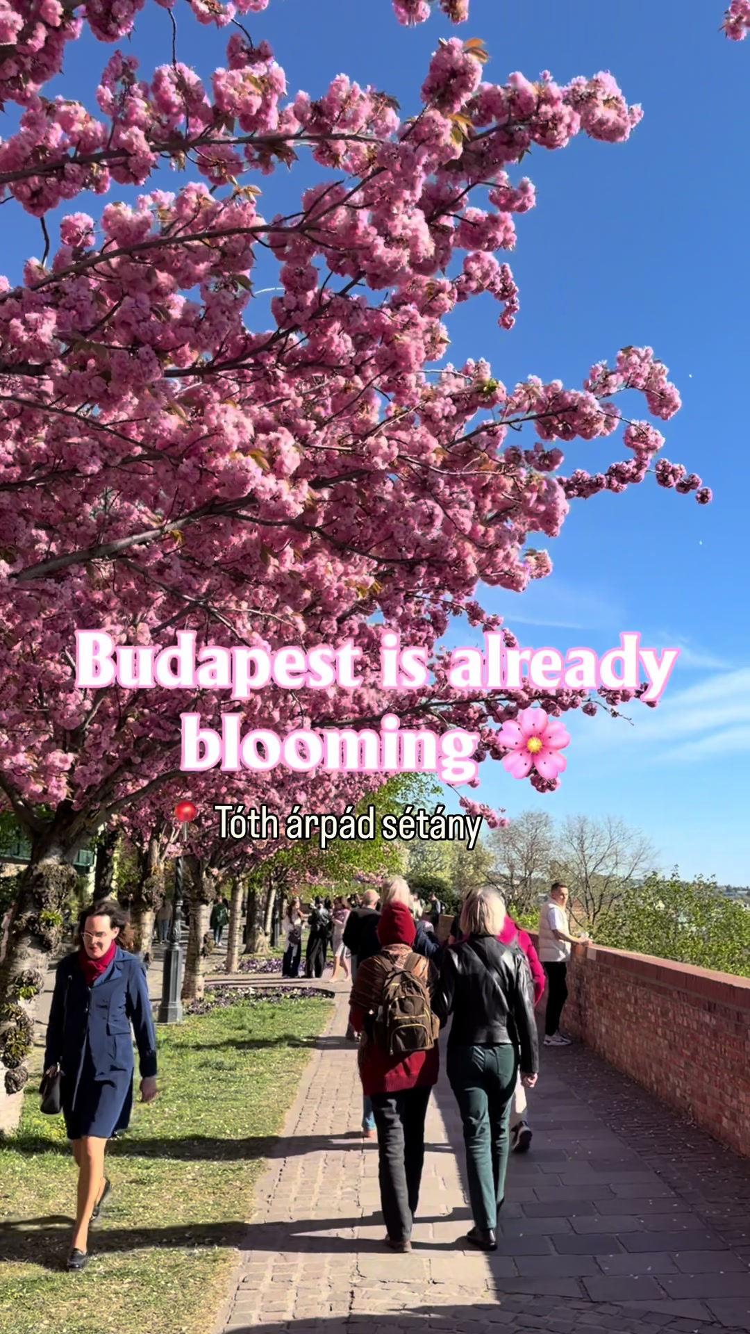 @budapestforliving