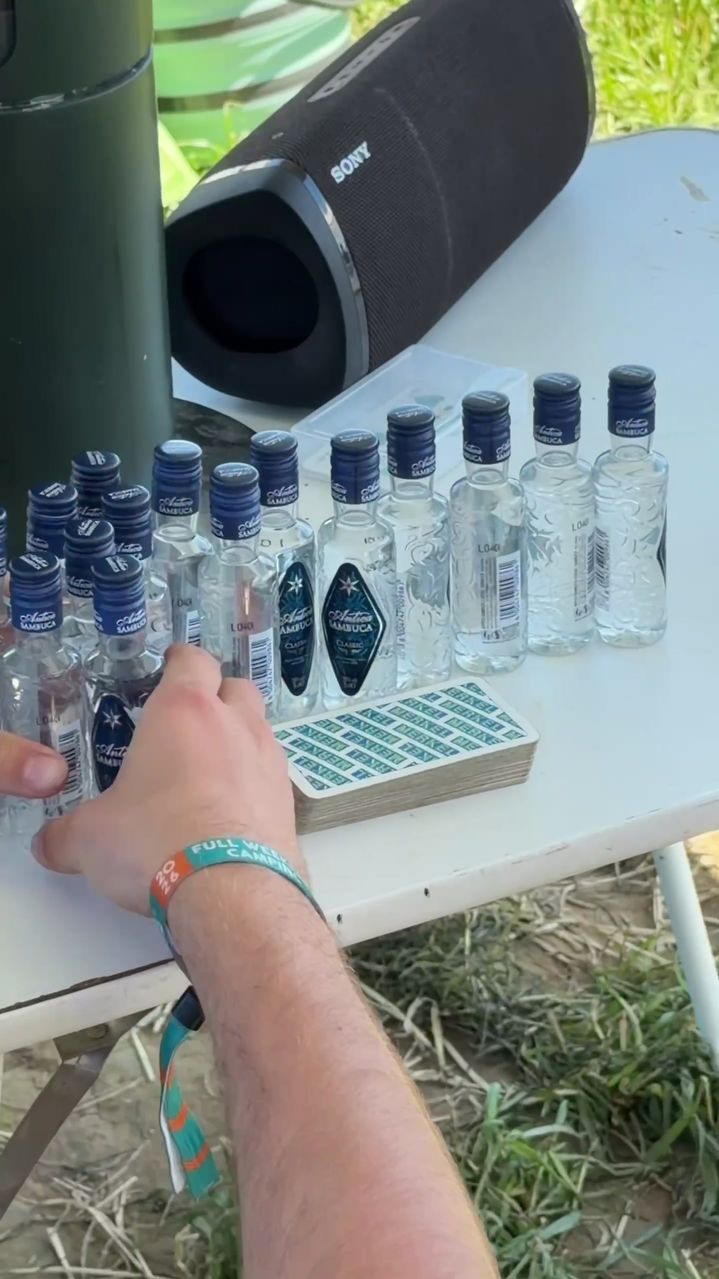 @Ikarus Festival