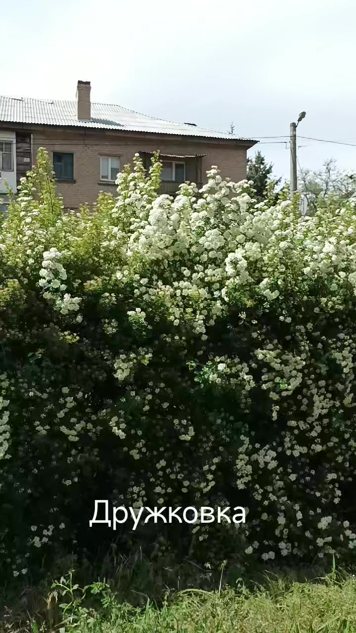 @Я за Мир