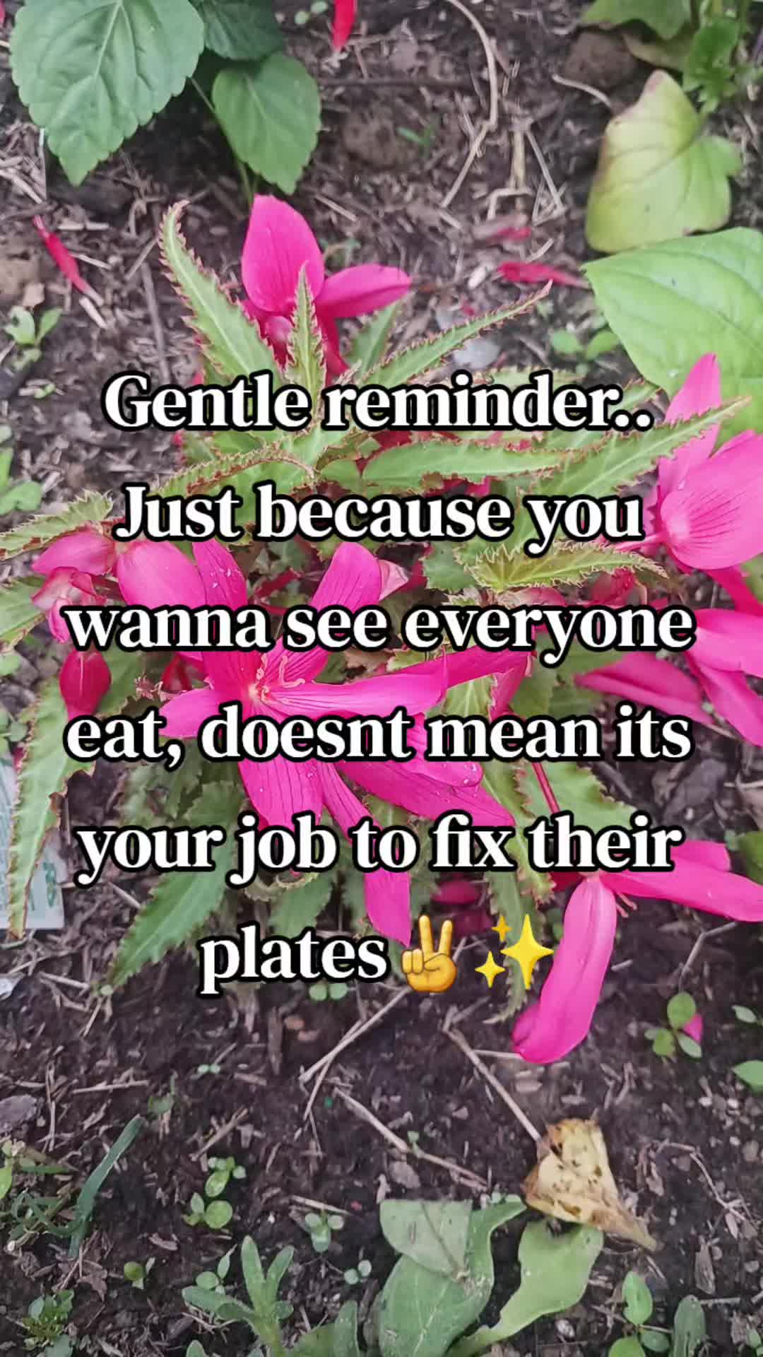 @Jackie🧚&zwj;♀️the garden hippie✨️