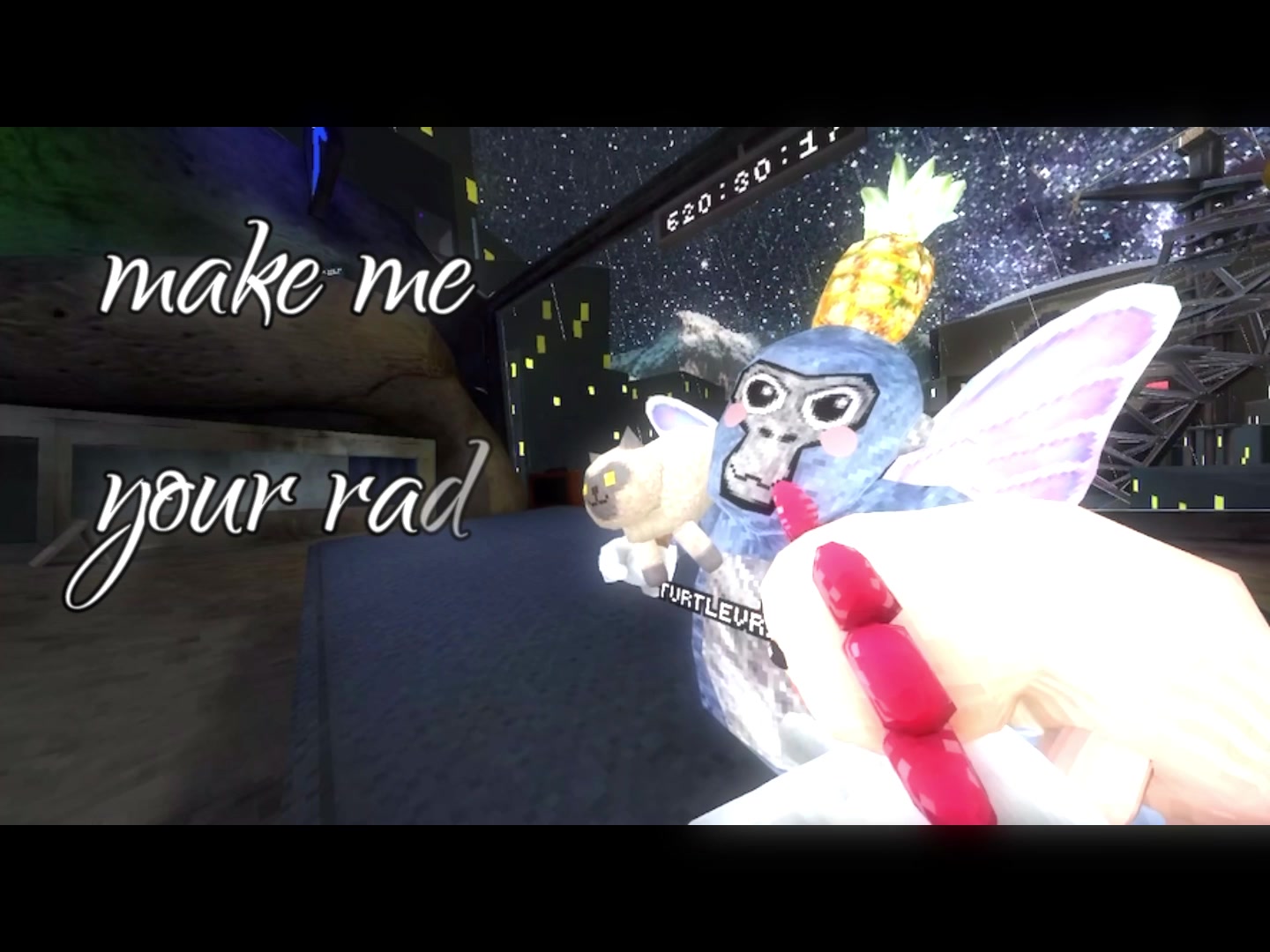 @💕TurtleVr🐢