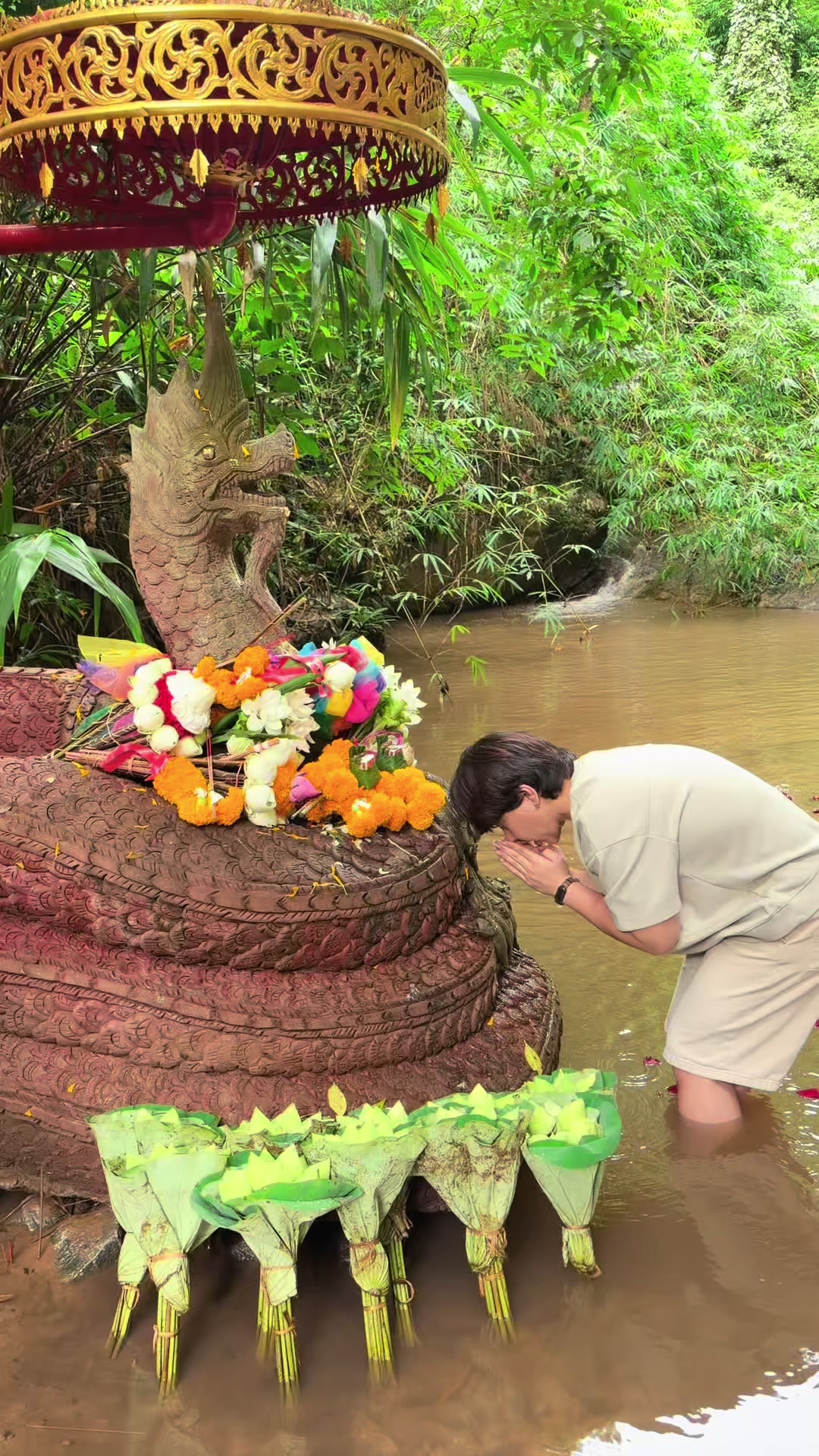 @bookko