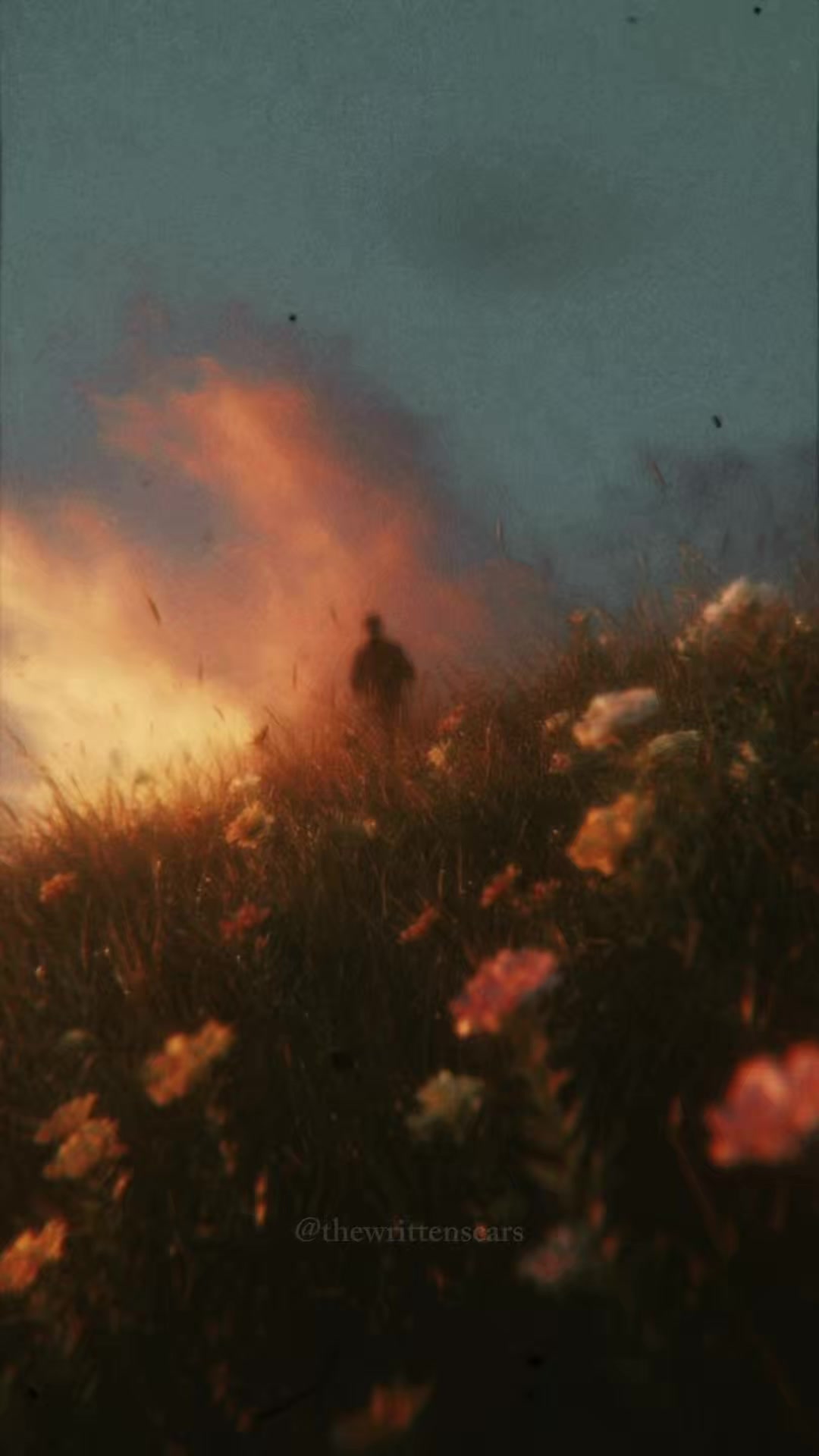 @writtenscars
