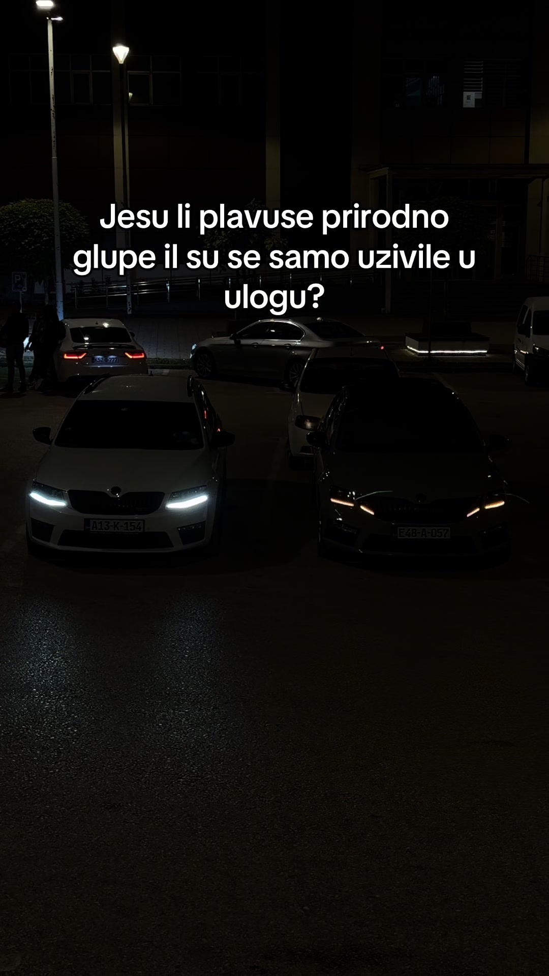 @mnls.vrs