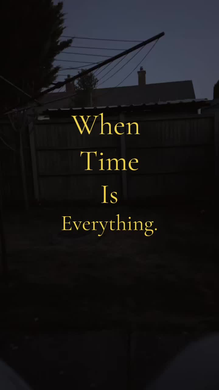 @🌺𝒞𝒽𝑒𝓁𝓈𝑒𝒶🌺