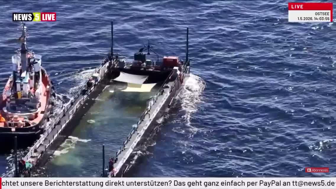 @Bibi