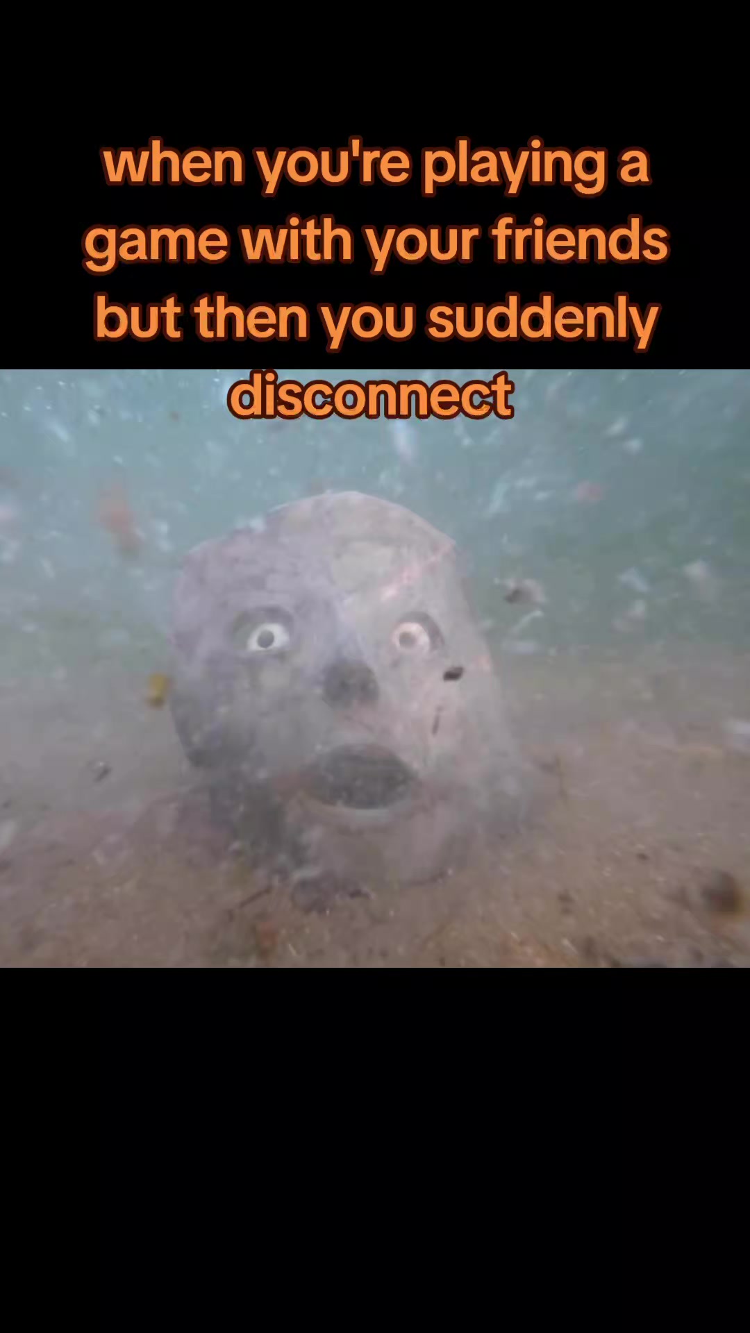 @The_randomdude
