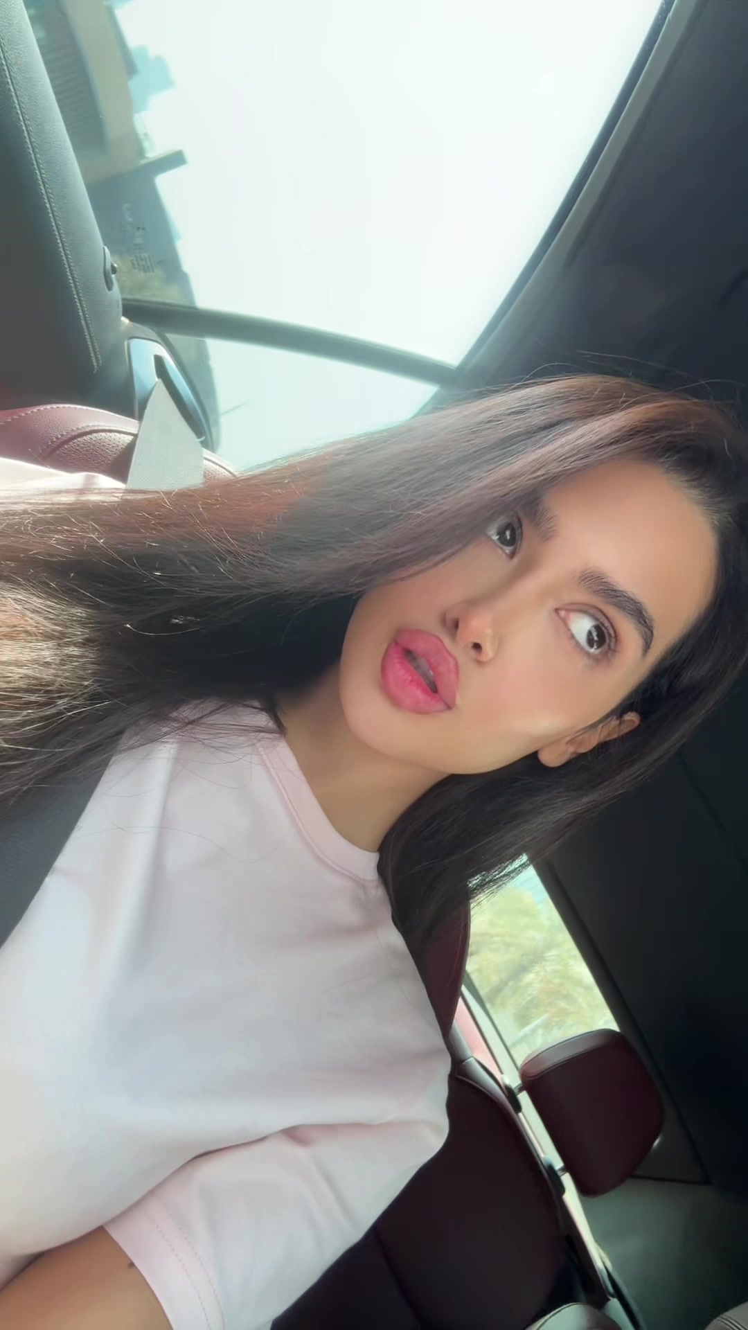 @bitimodel