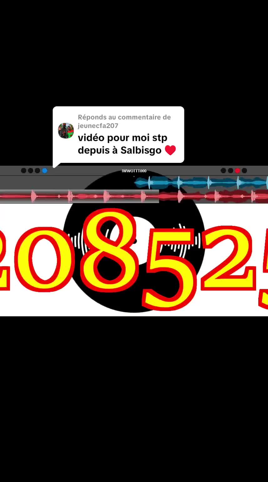 @dj💫 le 💫remixeur🐯1er