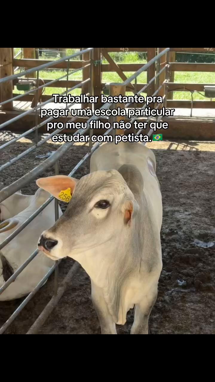 @joao_fraga🌵🇧🇷
