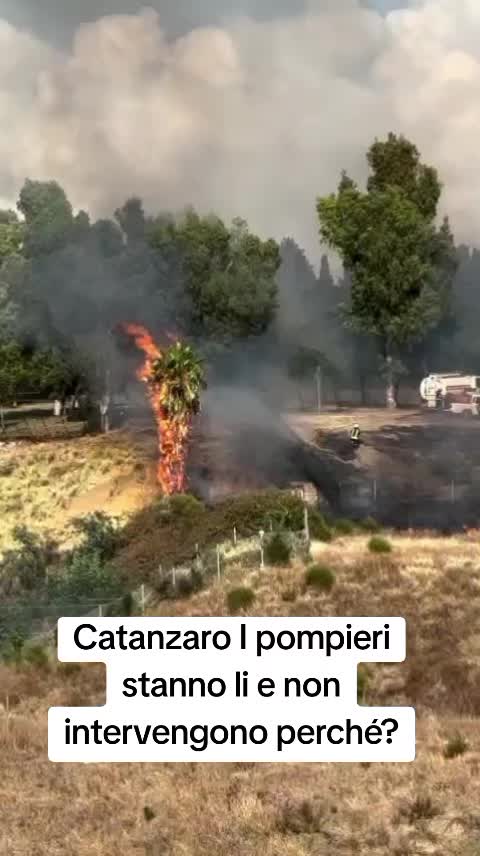 @Vitaliano Corasoniti