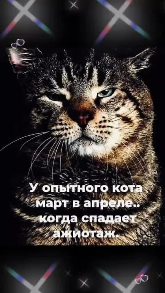 @Елена