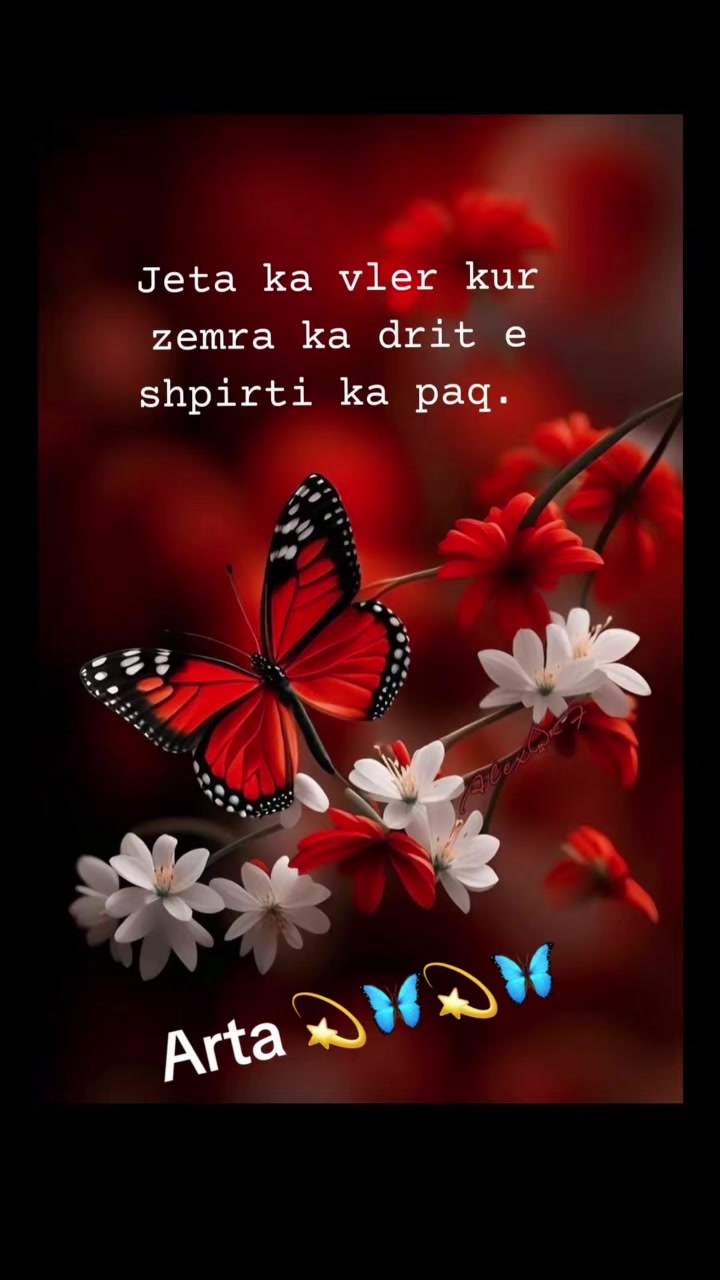 @Arta 💫🦋💫🦋