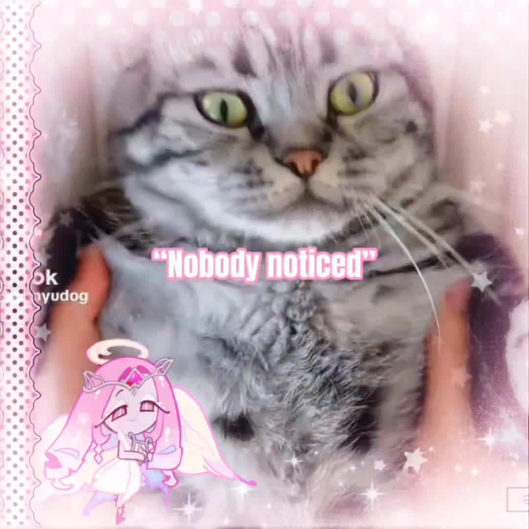 @Cʜℓoｅ★